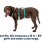 Flagline Harness - HUndegeschirr mit Griff