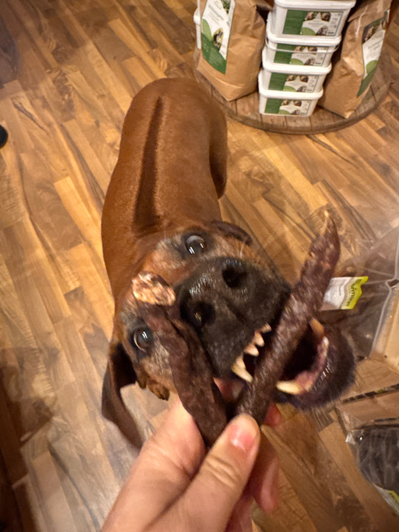 Würstchen vom Rind 10 Stück