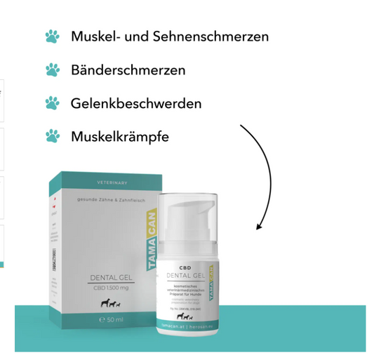 CBD GEL Balsam