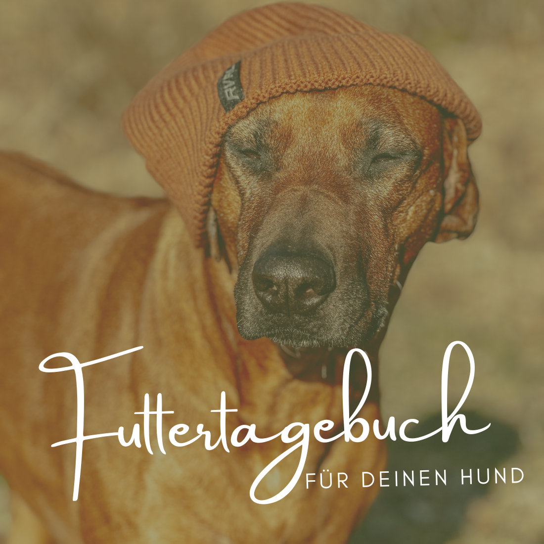 Futtertagebuch zum Download