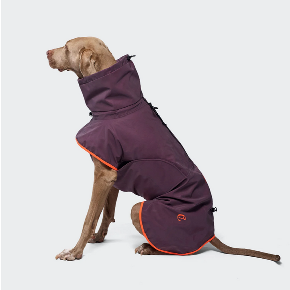 Cloud7 Hunde Regenmantel AKTIV