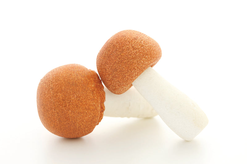 ABM - Agaricus blazei Murill Pulver Kapseln