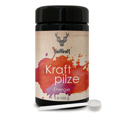 Kraft Pilze Energie