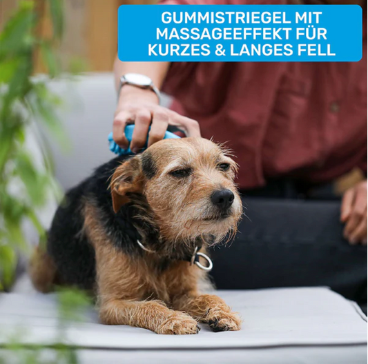 Fellfein Gummistriegel für Hunde