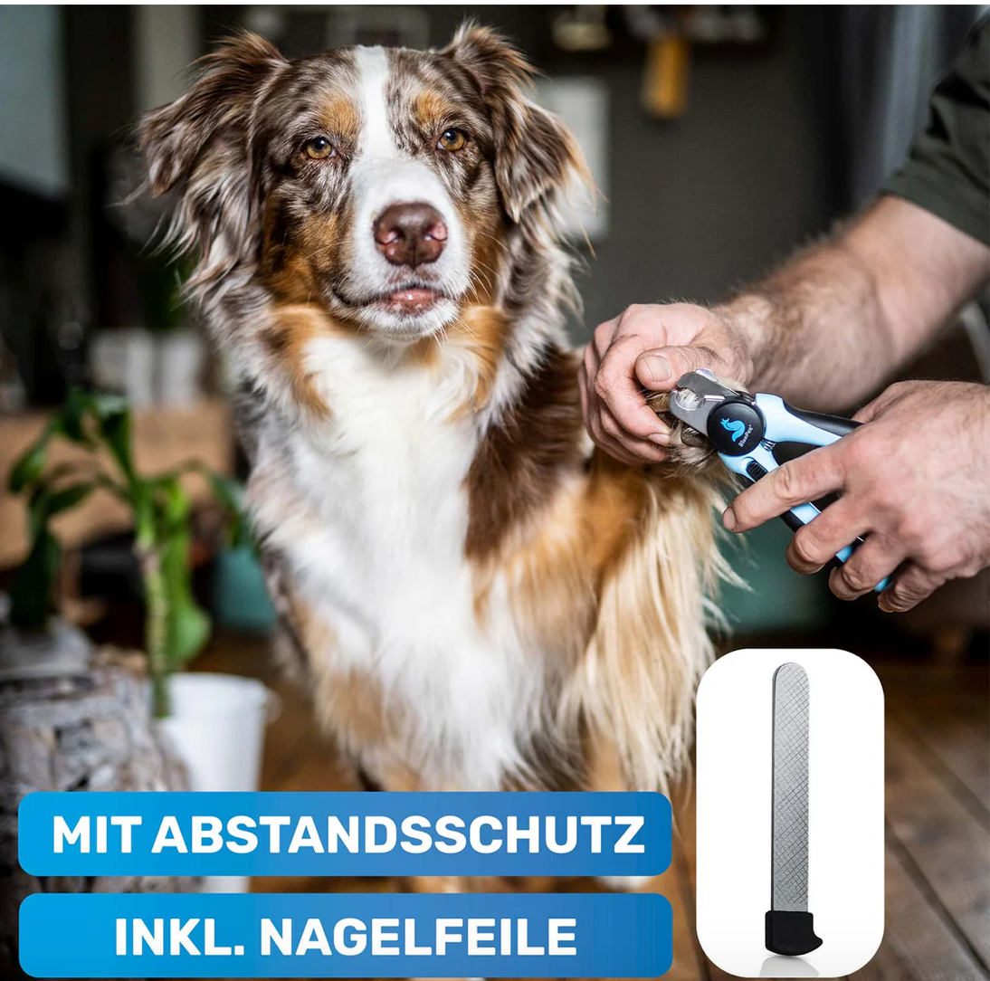 Krallen Schere