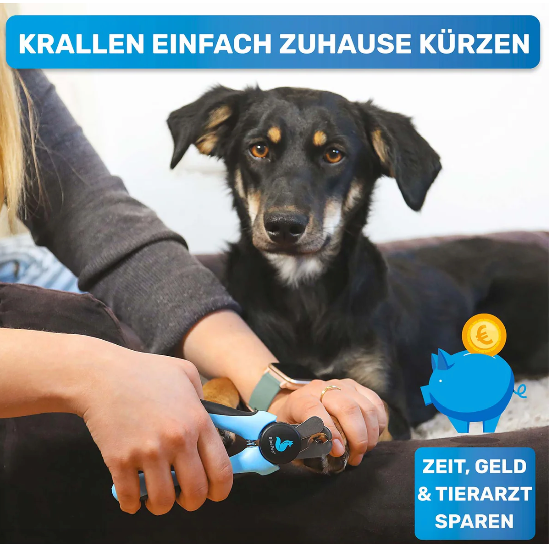 Krallen Schere