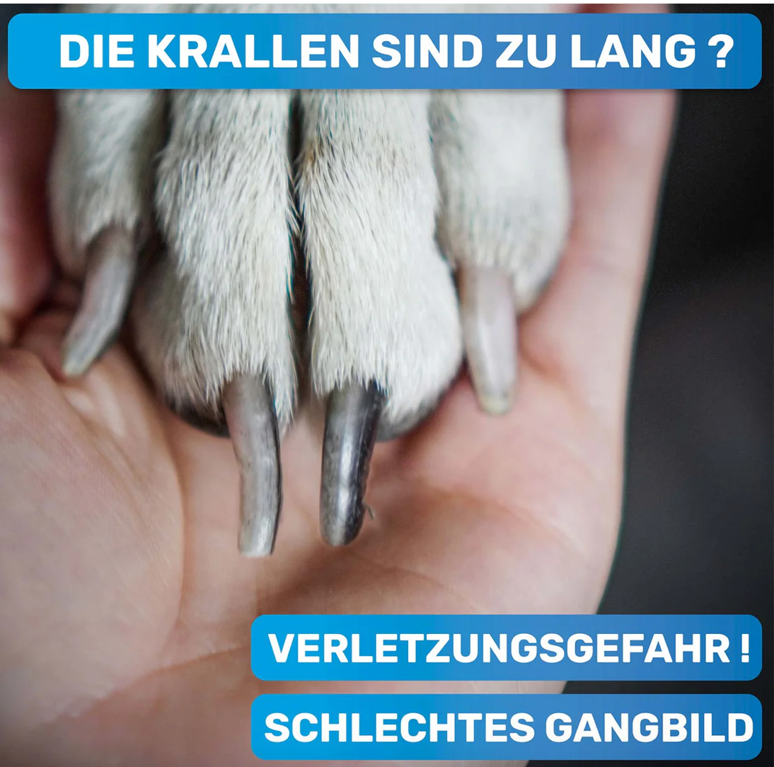 Krallen Schere