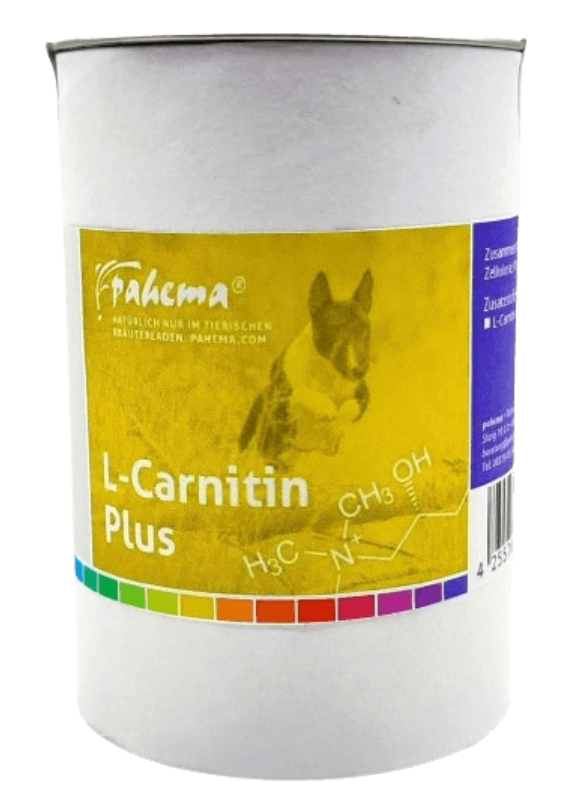 L Carnitin Plus