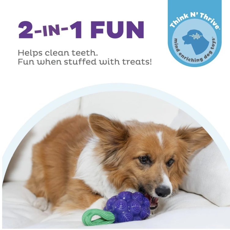 Planet Dogg Dental Grapes