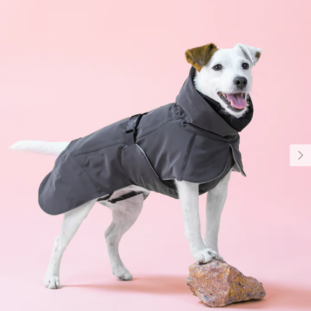 PAIKKA Visibility Winter jacket Dark