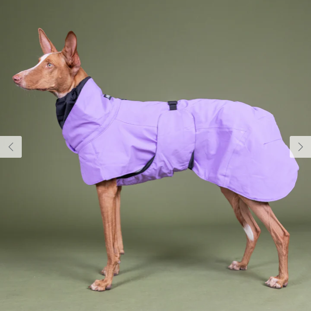 PAIKKA Visibility Winter jacket Lilac