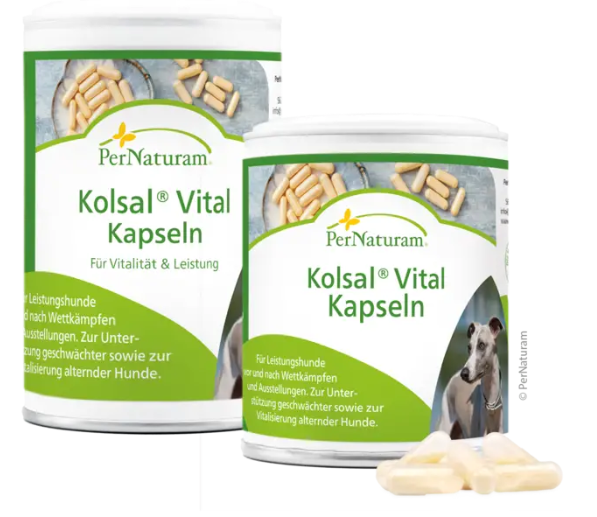 Kolsal-Vital-Kapseln