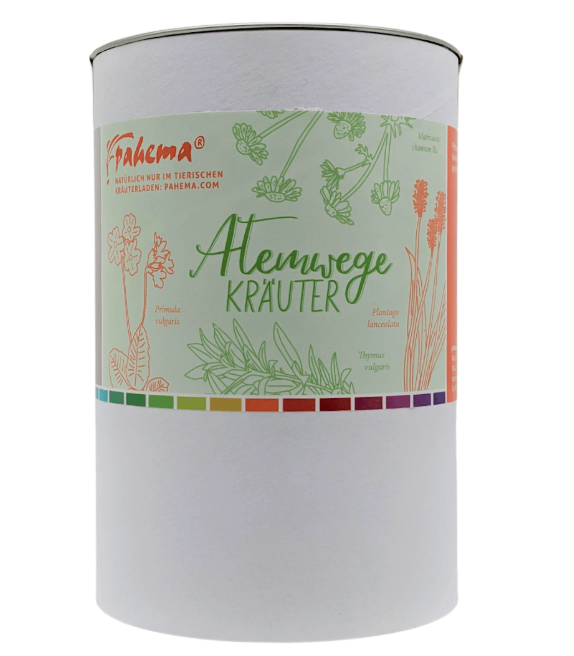 Atemwegskräuter