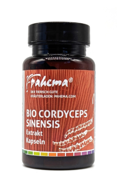 Cordycepsis Extrakt Kapseln