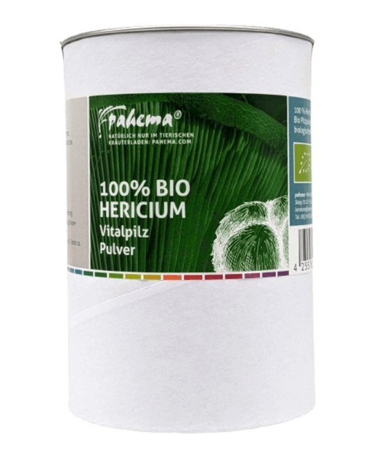 Hericium Pilz Pulver