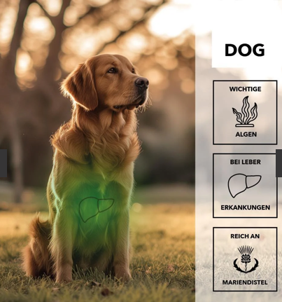 entoVITAL DOG detox