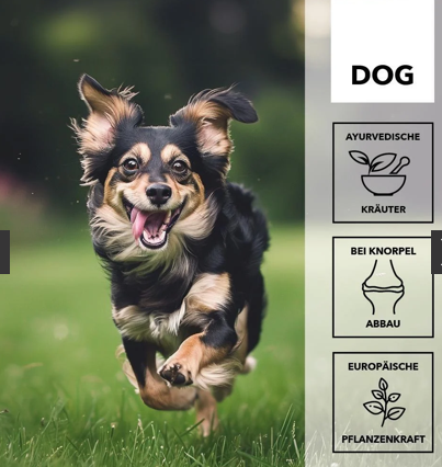 entoVITAL DOG move