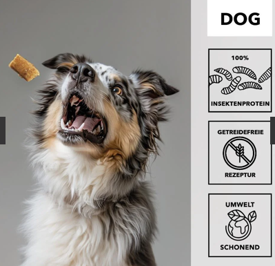 entoVITAL DOG Soft Snacks HYPOALLERGENIC