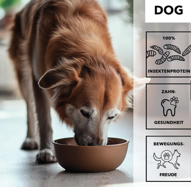 entoVITAL DOG SENIOR