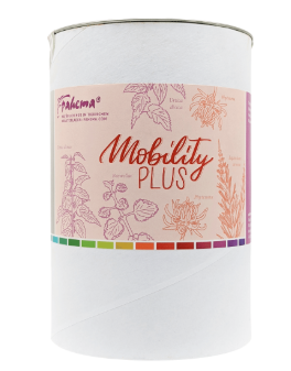 Mobility Plus