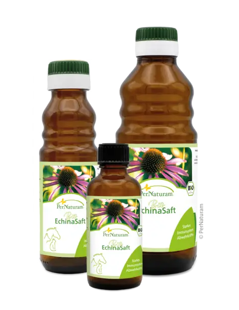 Bio Echina ImmunSaft