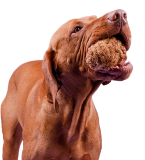 Cocoball Kokosfaser M