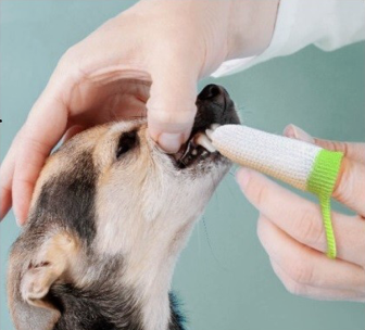 Fluffy Fingerzahnbürste (2 Stück)