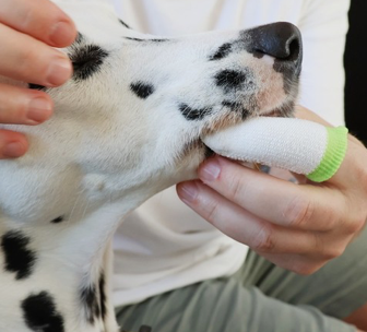 Fluffy Fingerzahnbürste (2 Stück)