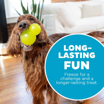 Planet Dog Double Tuff green large