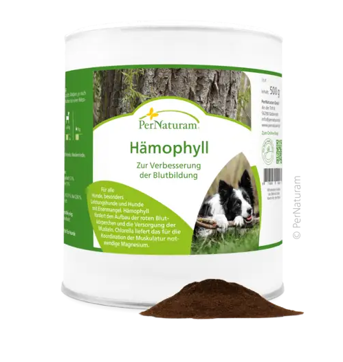 Hämophyll