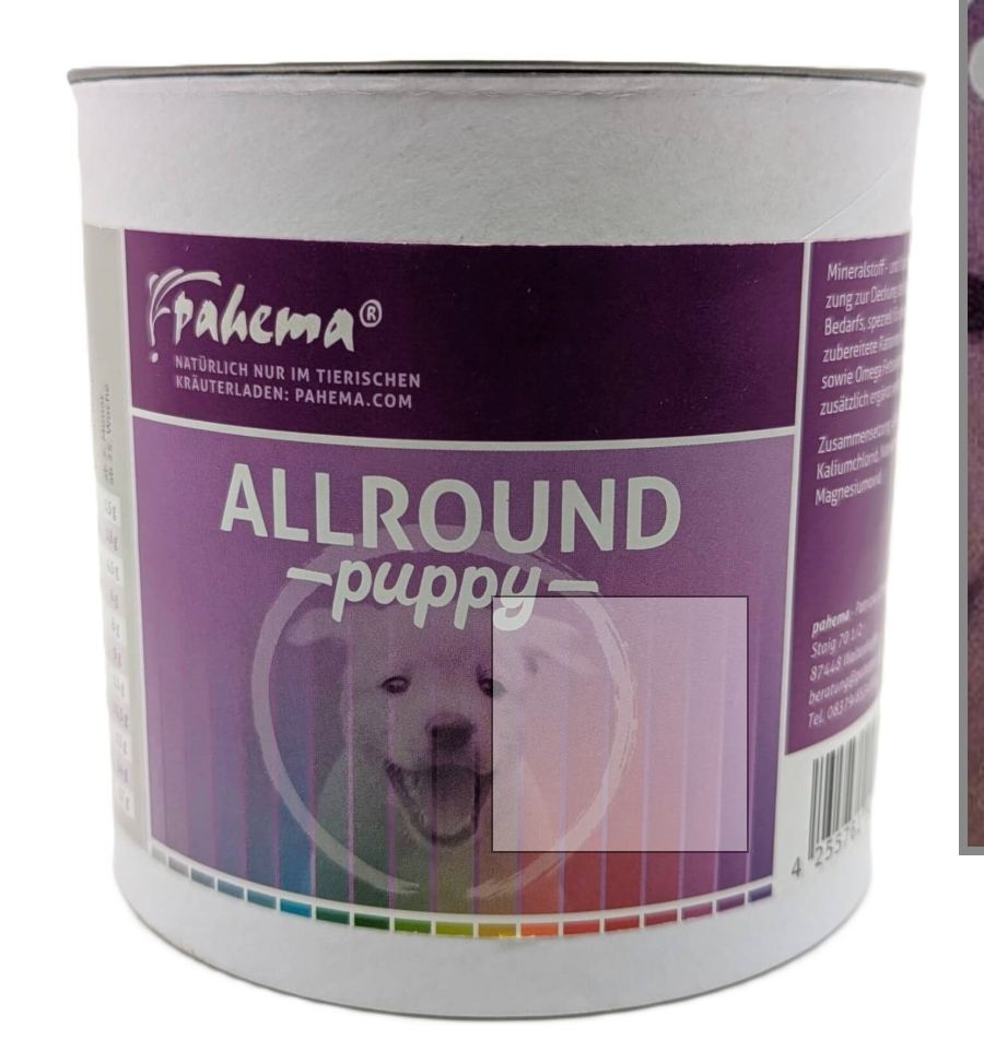 Allround Puppy