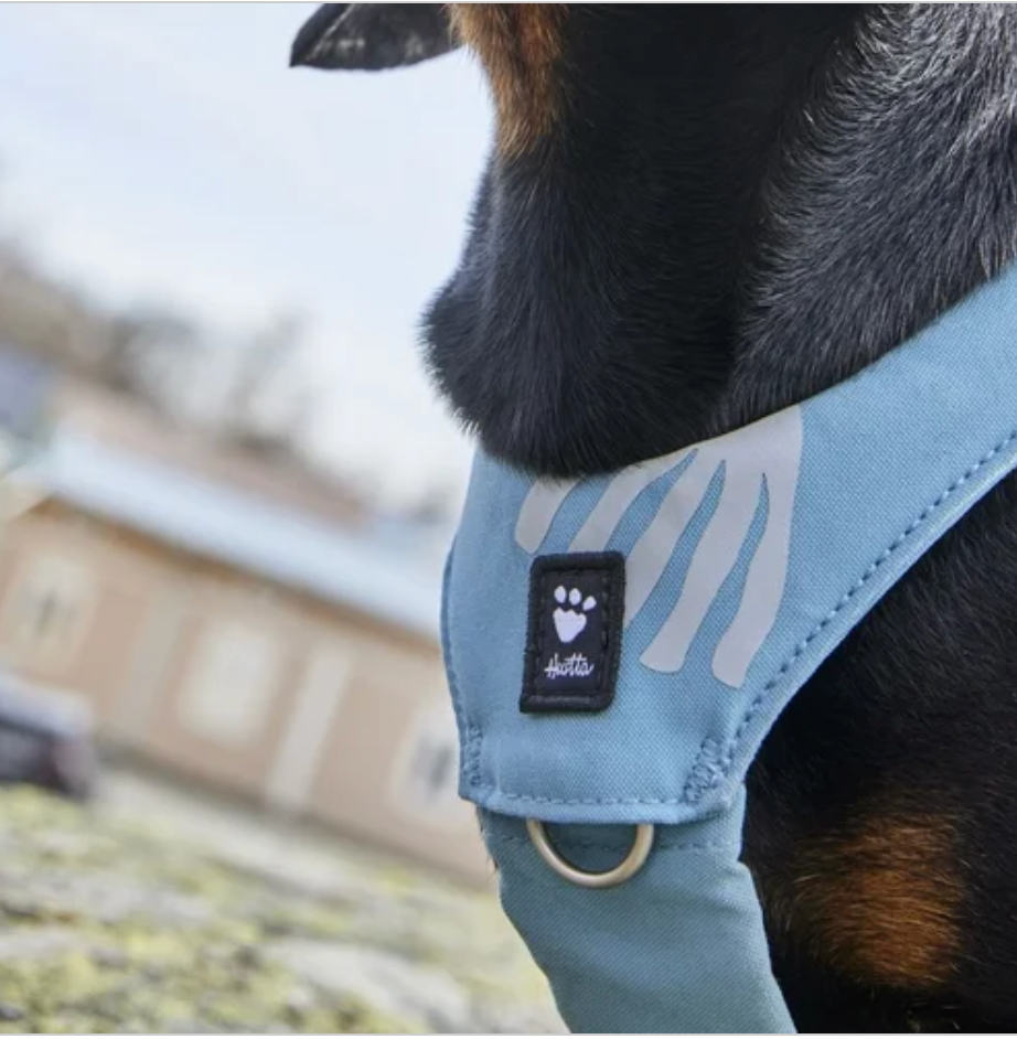 Hurtta Hundegeschirr Seeker Harness