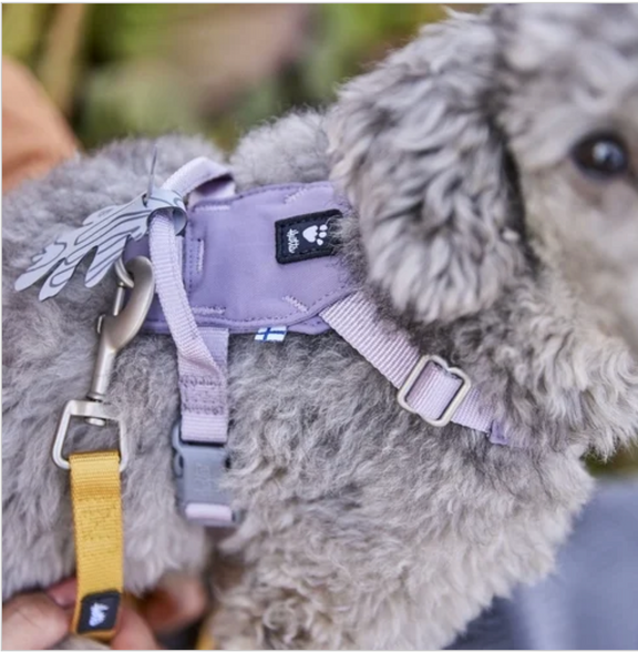 Hurtta Hundegeschirr Seeker Harness