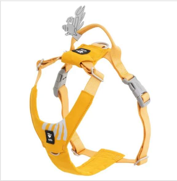 Hurtta Hundegeschirr Seeker Harness honey