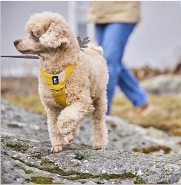 Hurtta Hundegeschirr Seeker Harness