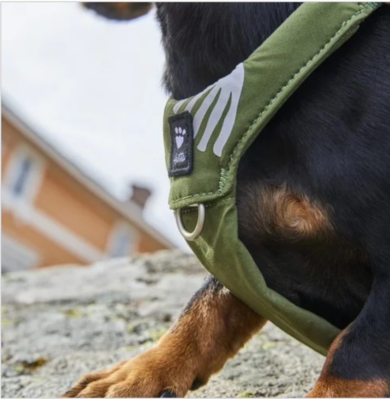 Hurtta Hundegeschirr Seeker Harness