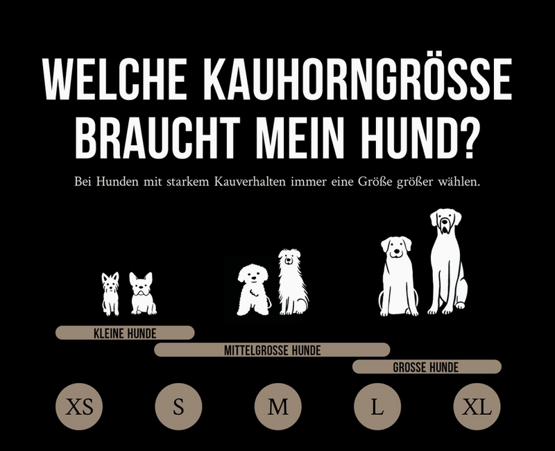 Hundekauhorn vom Schaf