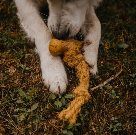 Cocoball Hundespielzeug aus Kokosseil