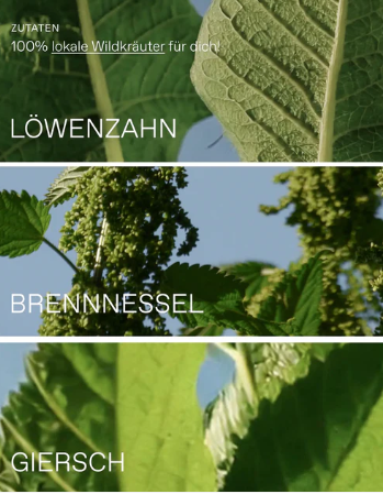 heimische Superfoods Brennessel + Löwenzahn