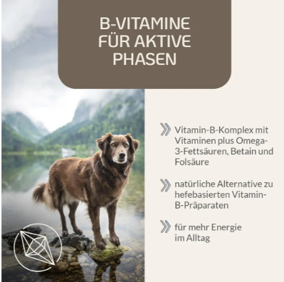 B Vital