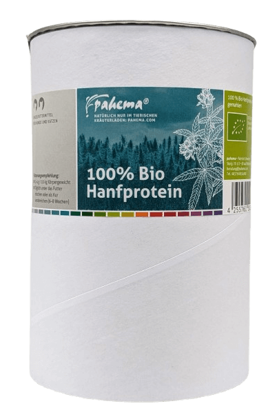 Bio Hanfprotein