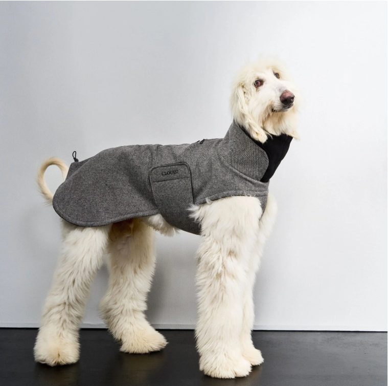 Cloud7 Hundemantel Brooklyn Long Tweed Black