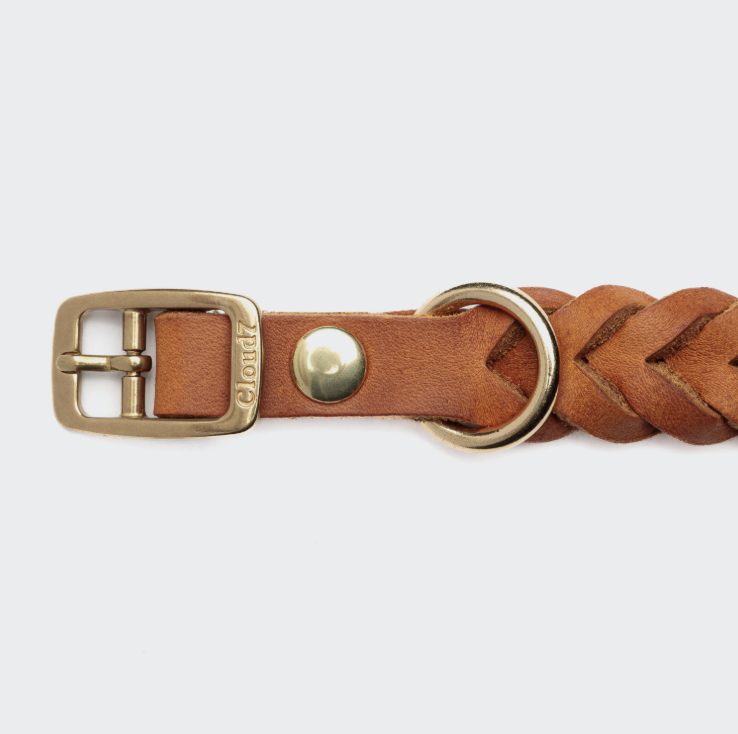 Hundehalsband aus geflochtenen Fettleder - camel