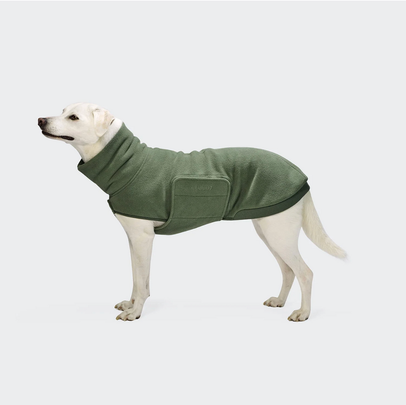 Cloud7 Hundepullover Derby 2.0 Khaki