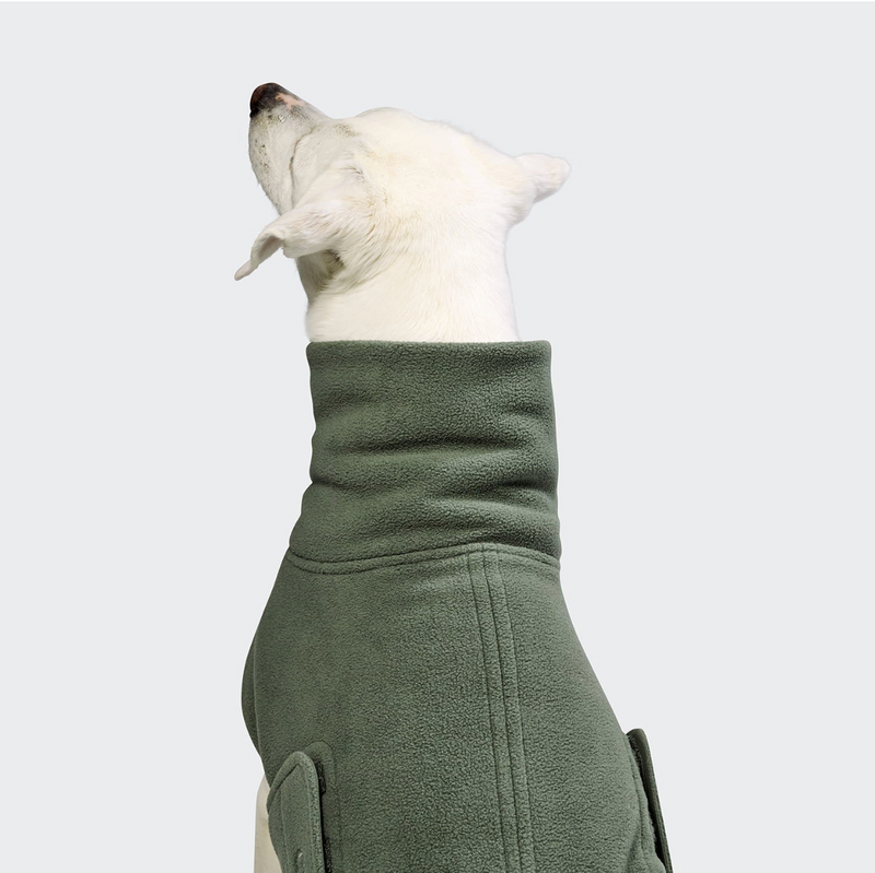 Cloud7 Hundepullover Derby 2.0 Khaki