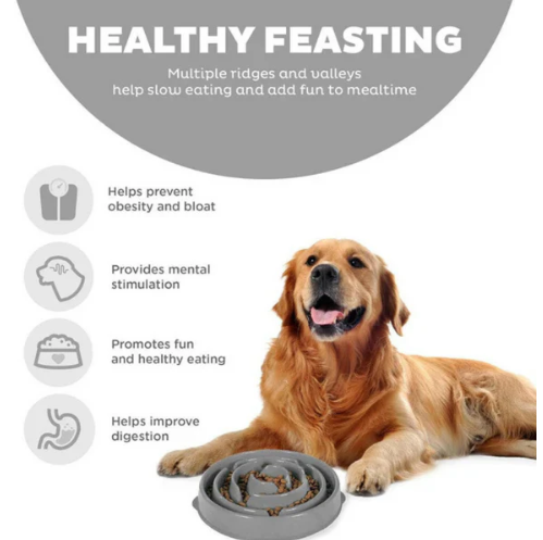 Anti Schling Napf drop grey