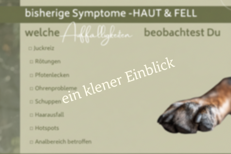 Allergietagebuch mit Bonus Pollenflugkalender