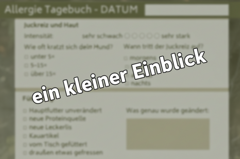 Allergietagebuch mit Bonus Pollenflugkalender