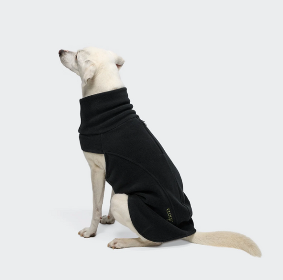 Cloud7 Hundepullover Body Warmer Activ
