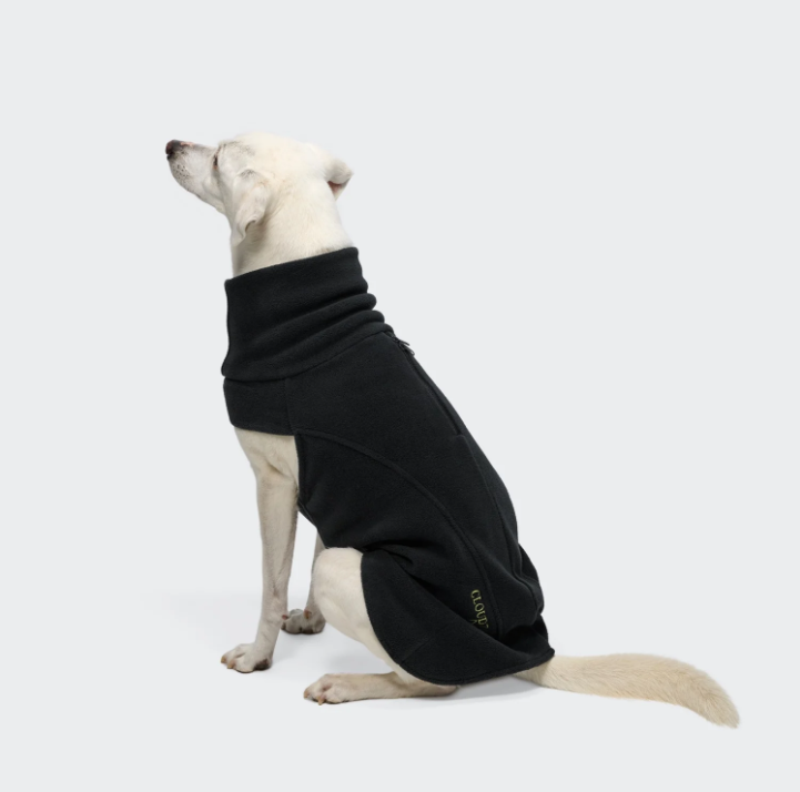 Cloud7 Hundepullover Body Warmer Activ